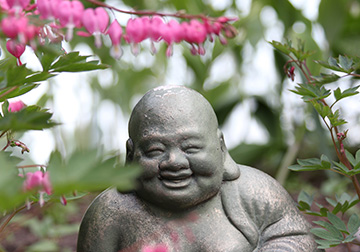 Med Copyright-AMPphotos